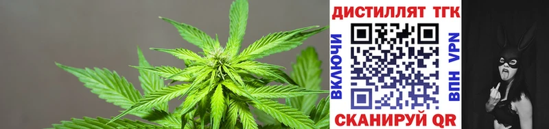 Купить  Невинномысск  Дистиллят ТГК Wax 